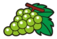 ぶどう